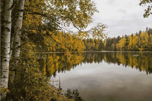 Järvimaisema